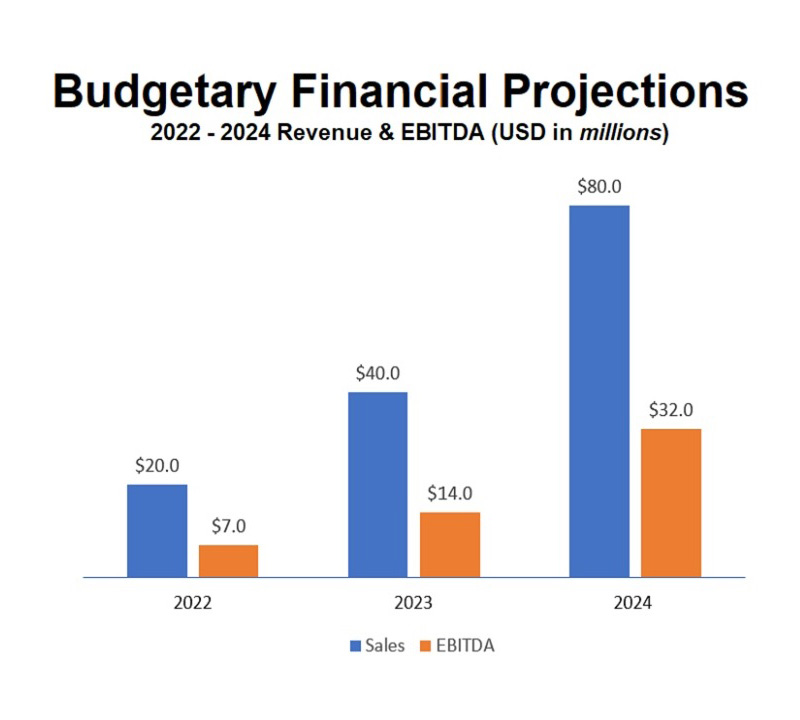Financial-Projections